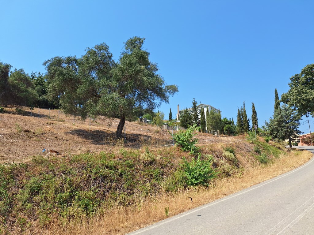 Land in Corfu, Corfu Prefecture, Greece – 60119