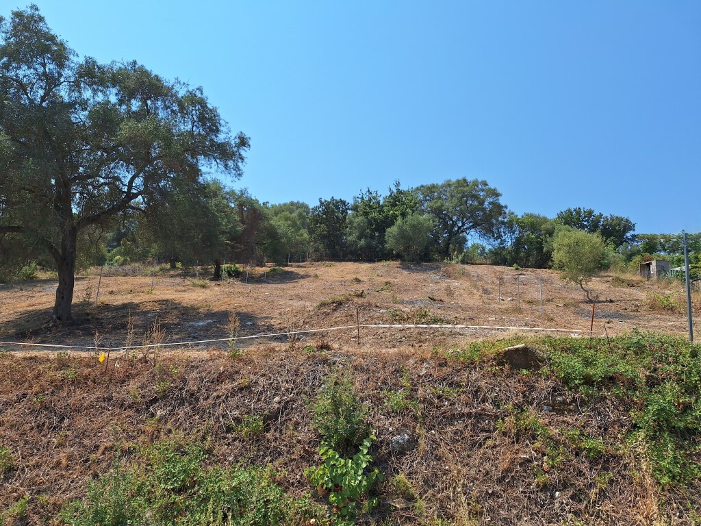 Land in Corfu, Corfu Prefecture, Greece – 60117
