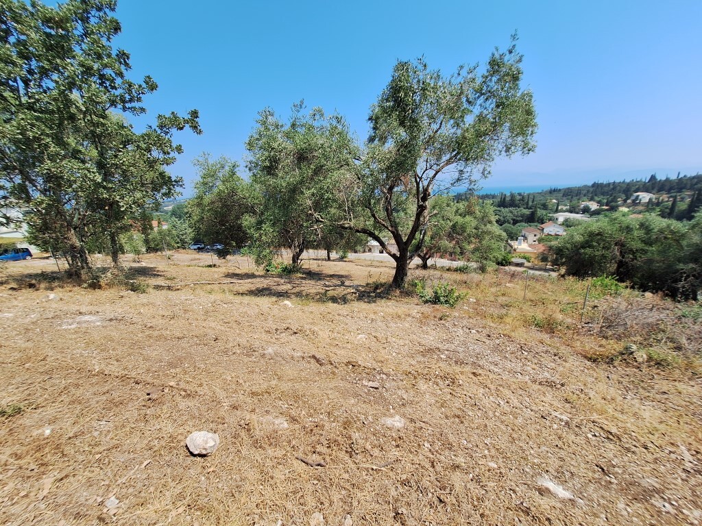 Land in Corfu, Corfu Prefecture, Greece – 60113