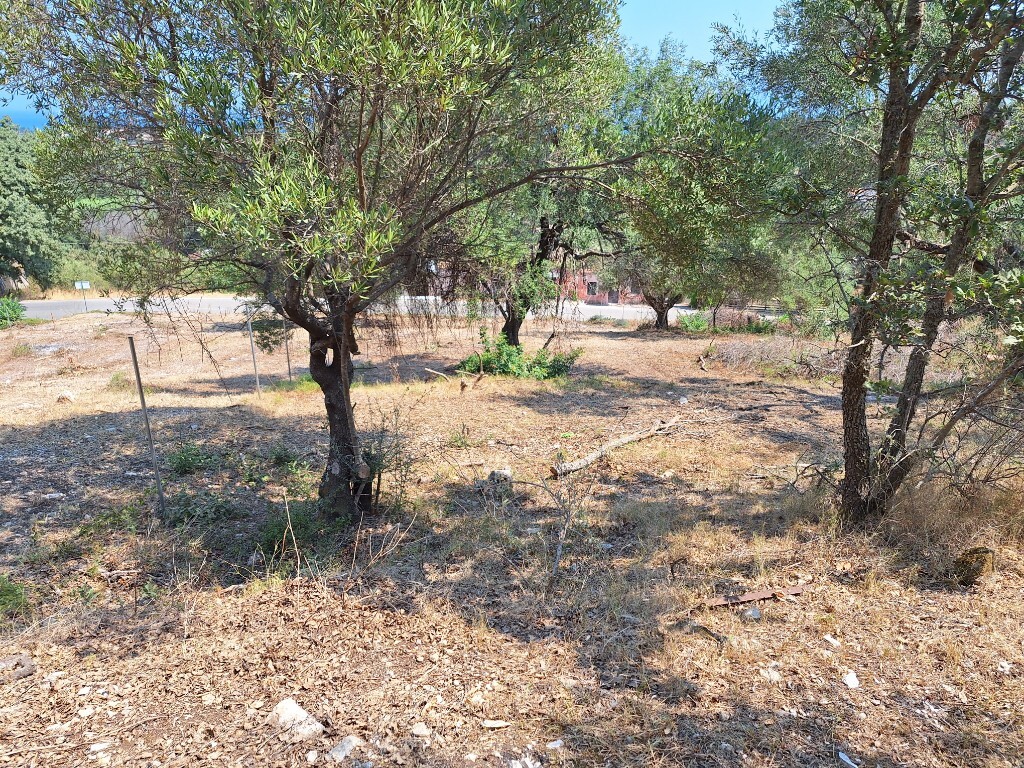 Land in Corfu, Corfu Prefecture, Greece – 60113