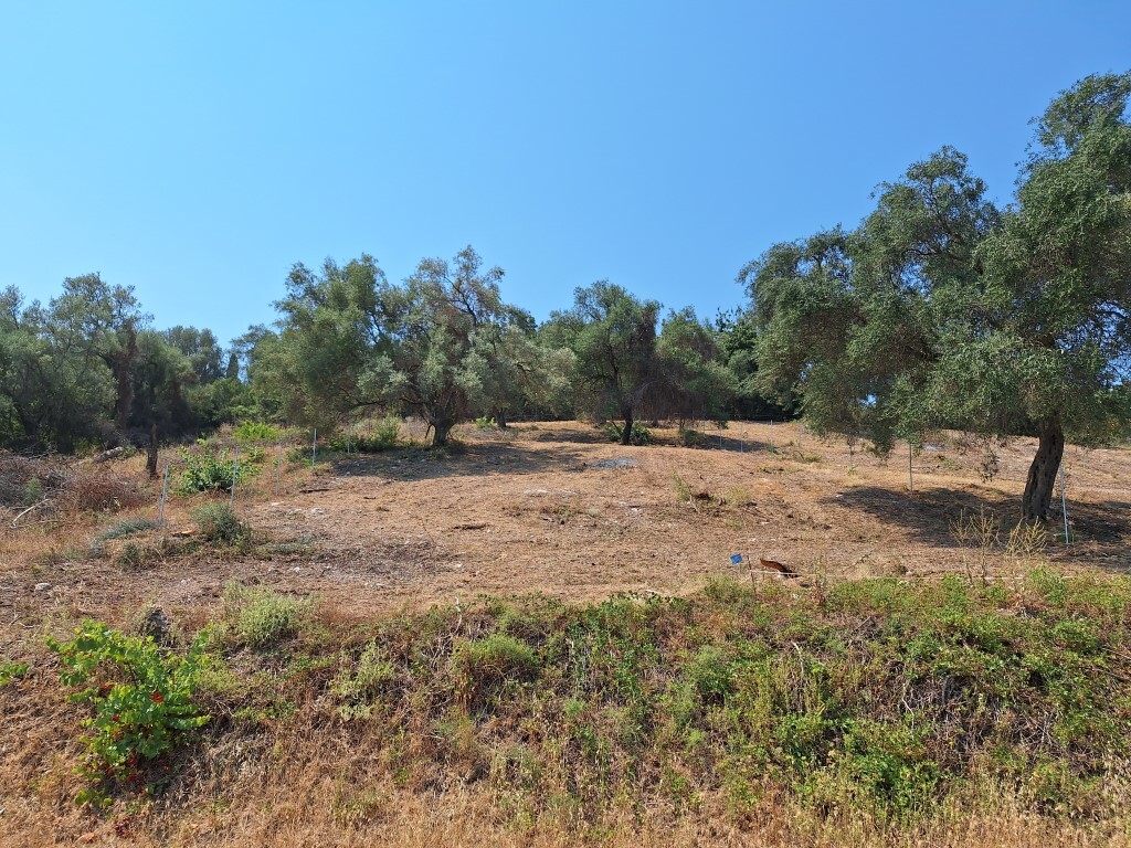 Land in Corfu, Corfu Prefecture, Greece – 60113