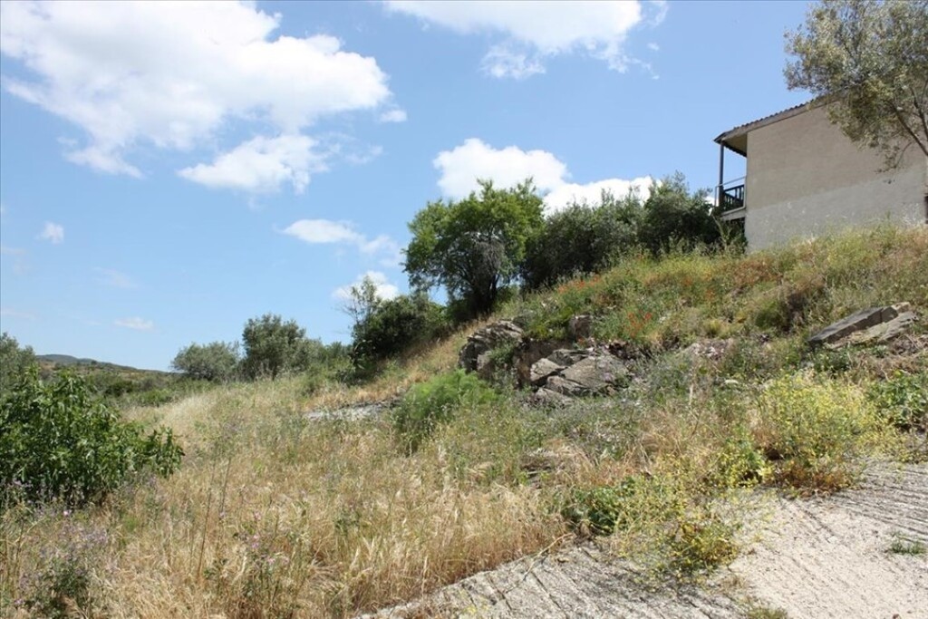 Land in Aristotle, Chalkidiki, Greece – 60059