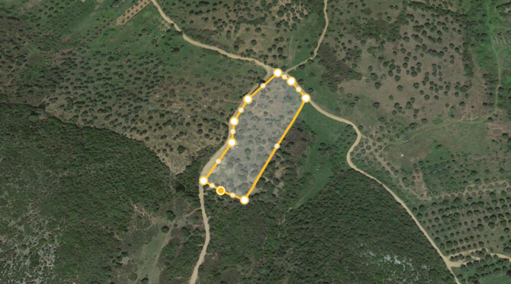 Land in Sithonia, Chalkidiki, Greece – 60043