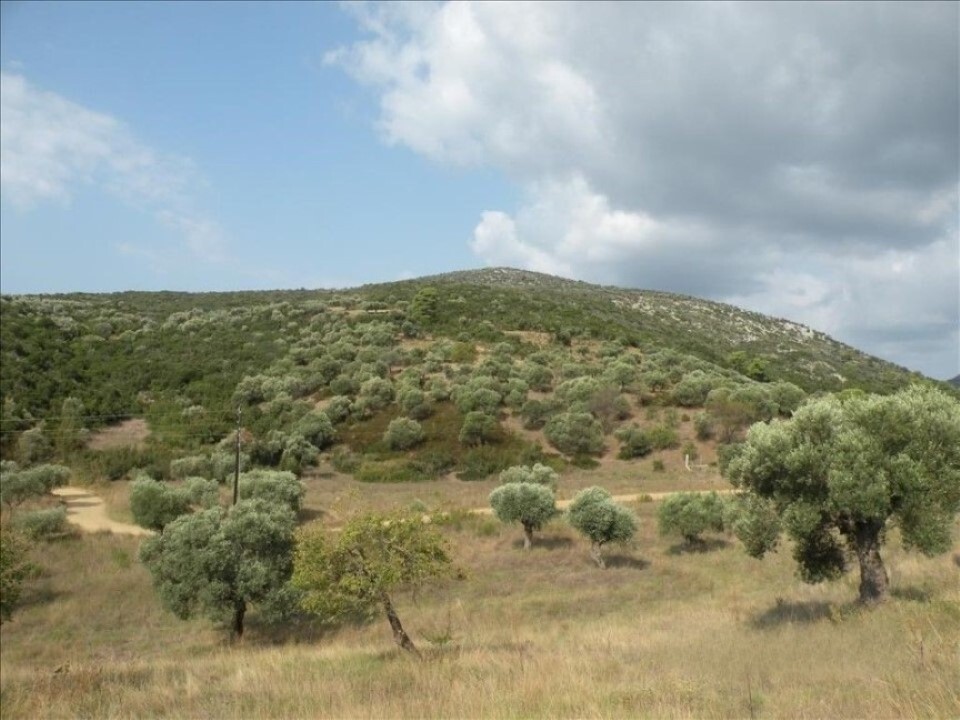 Land in Sithonia, Chalkidiki, Greece – 60043