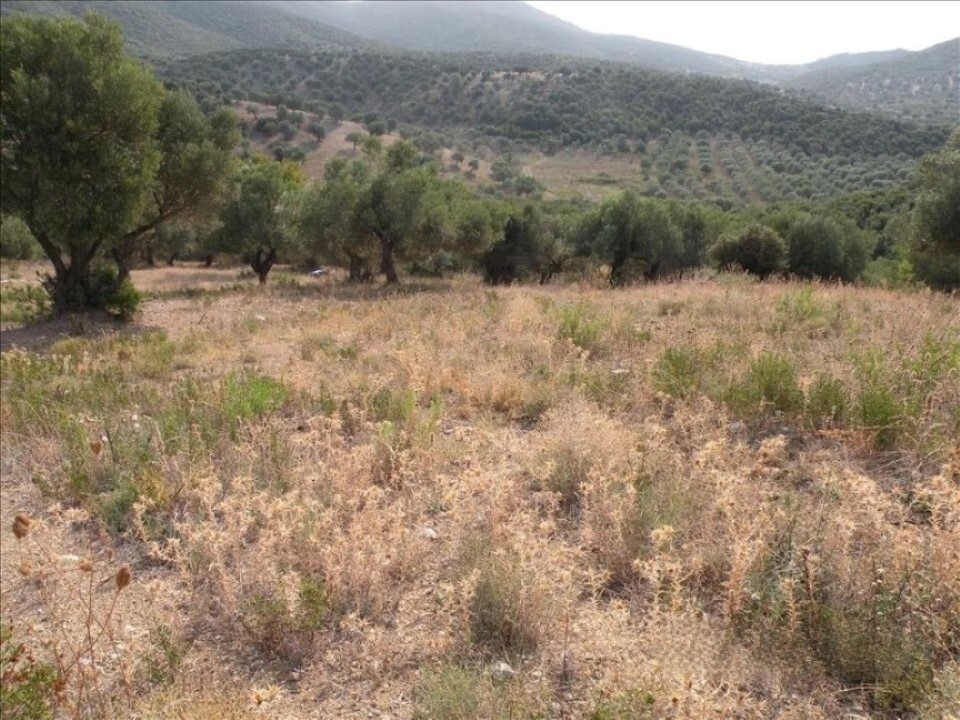 Land in Sithonia, Chalkidiki, Greece – 60043