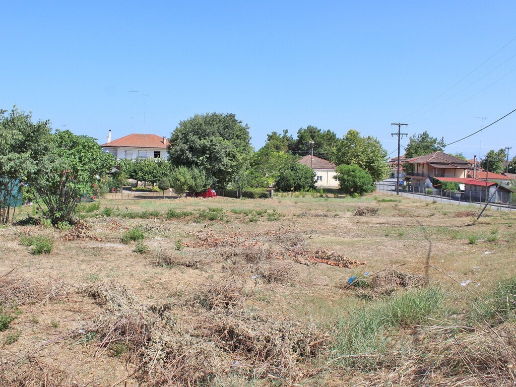 Land in Dion, Pieria Prefecture, Greece – 60041