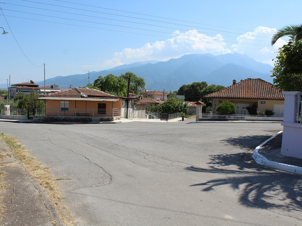 Land in Dion, Pieria Prefecture, Greece – 60041