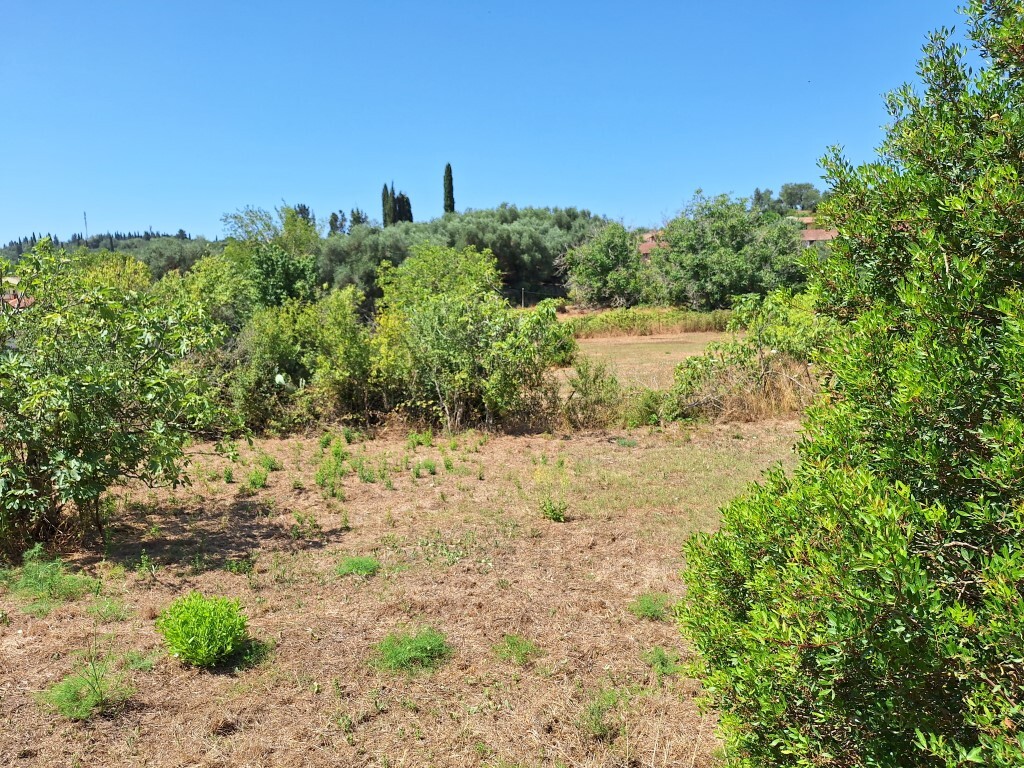 Land in Corfu, Corfu Prefecture, Greece – 60025