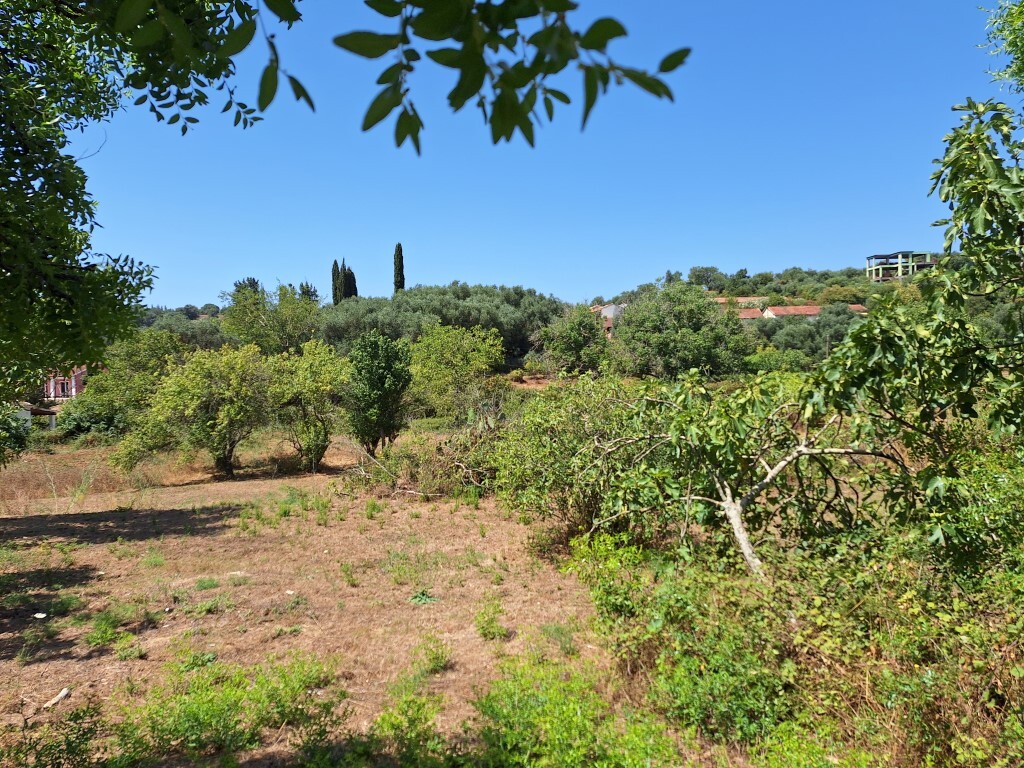 Land in Corfu, Corfu Prefecture, Greece – 60025