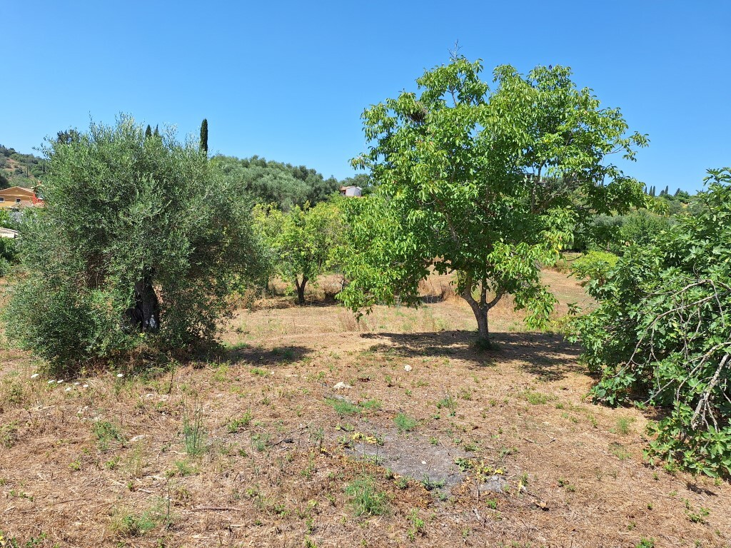 Land in Corfu, Corfu Prefecture, Greece – 60025