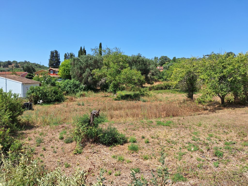 Land in Corfu, Corfu Prefecture, Greece – 60025