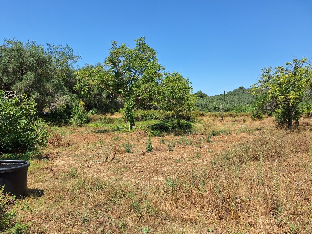 Land in Corfu, Corfu Prefecture, Greece – 60025