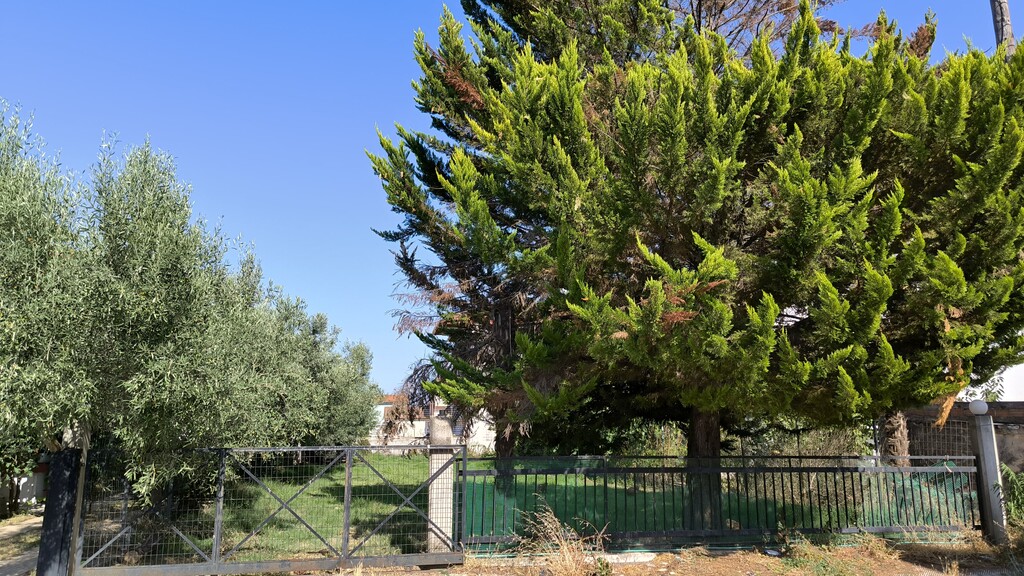 Land in Paralia, Pieria Prefecture, Greece – 60015
