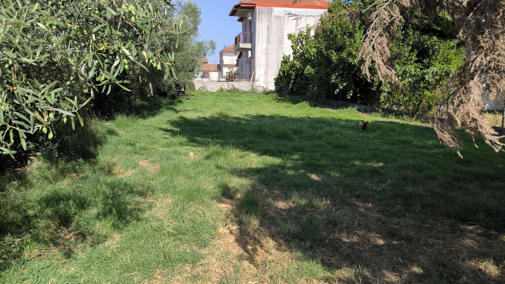 Land in Paralia, Pieria Prefecture, Greece – 60015