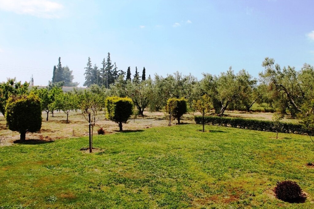 Land in Poligiros, Chalkidiki, Greece – 59993