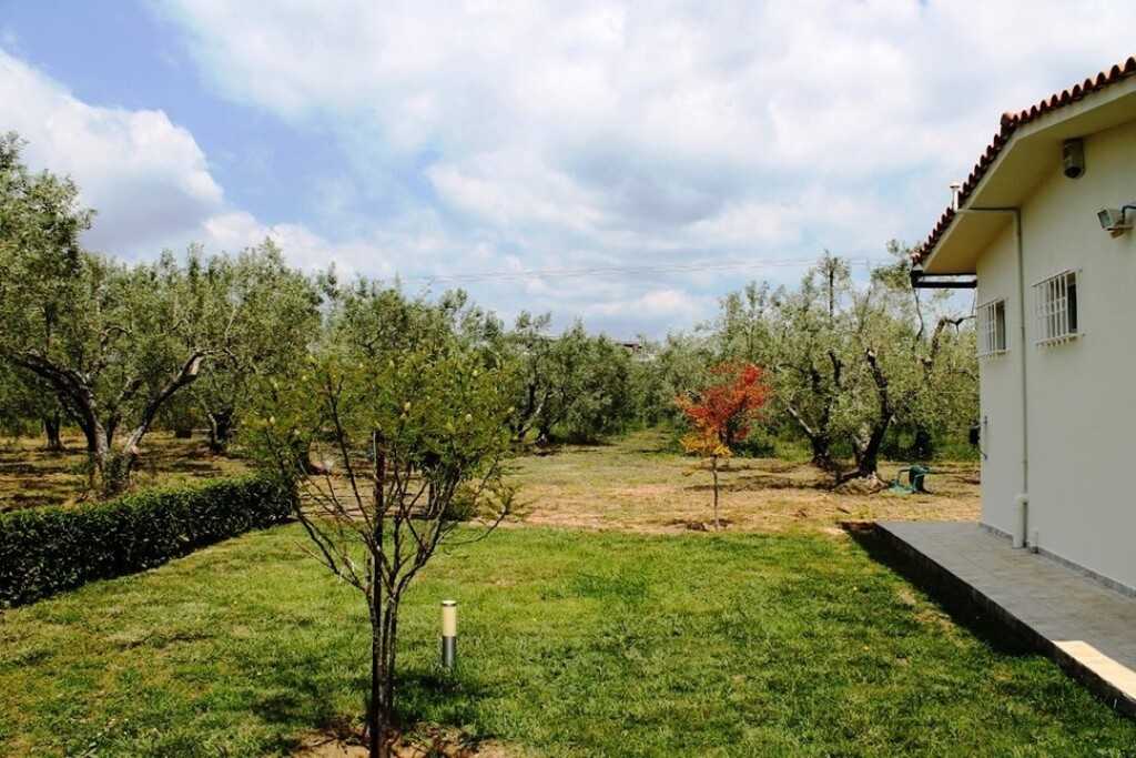Land in Poligiros, Chalkidiki, Greece – 59993