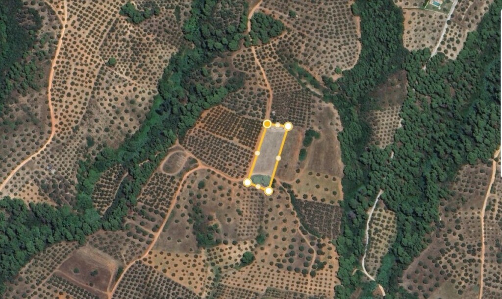 Land in Sithonia, Chalkidiki, Greece – 59992