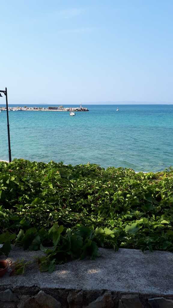 Commercial property in Agkistri, Argosaronikos Islands, Greece – 59954