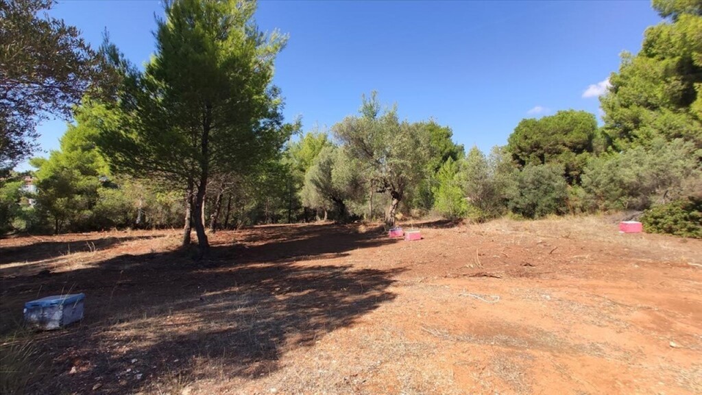 Land in Poligiros, Chalkidiki, Greece – 59910