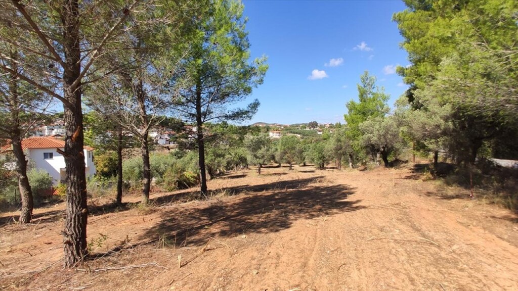 Land in Poligiros, Chalkidiki, Greece – 59908