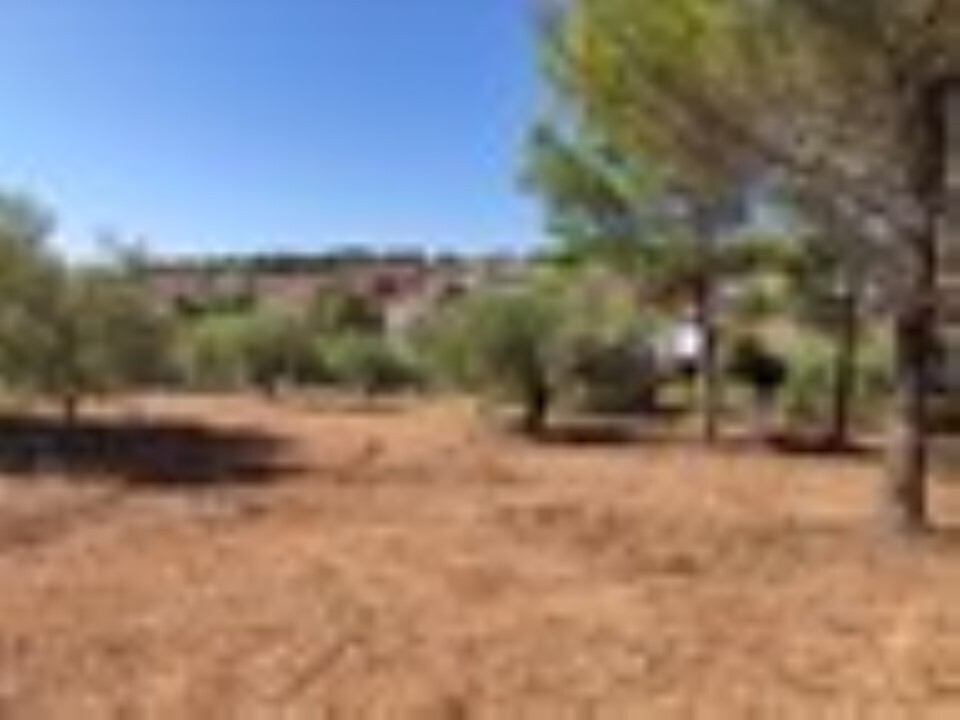 Land in Poligiros, Chalkidiki, Greece – 59908