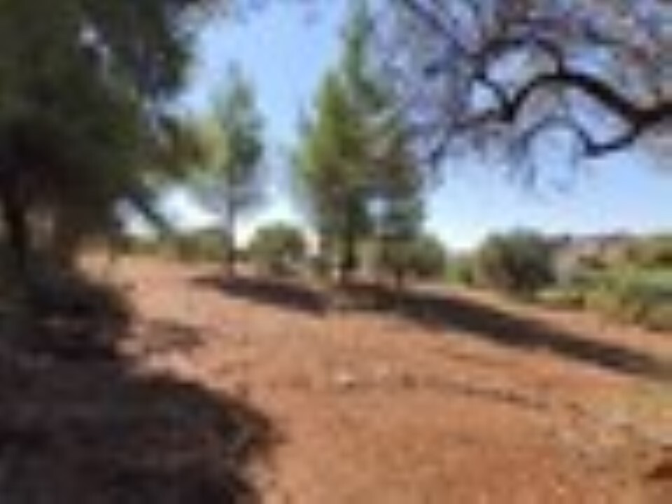Land in Poligiros, Chalkidiki, Greece – 59908
