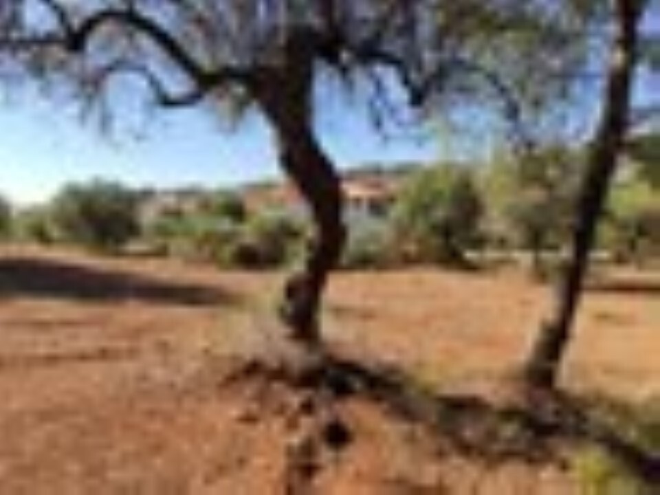 Land in Poligiros, Chalkidiki, Greece – 59908