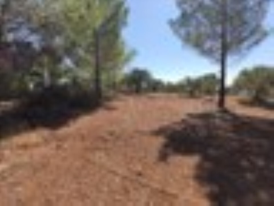 Land in Poligiros, Chalkidiki, Greece – 59908