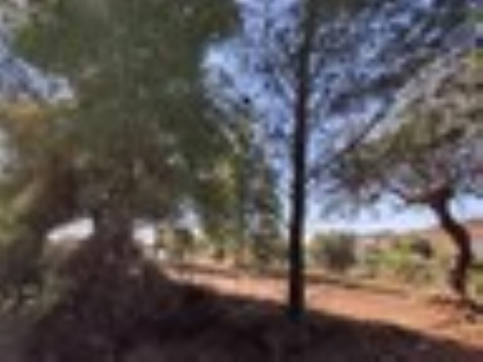 Land in Poligiros, Chalkidiki, Greece – 59908