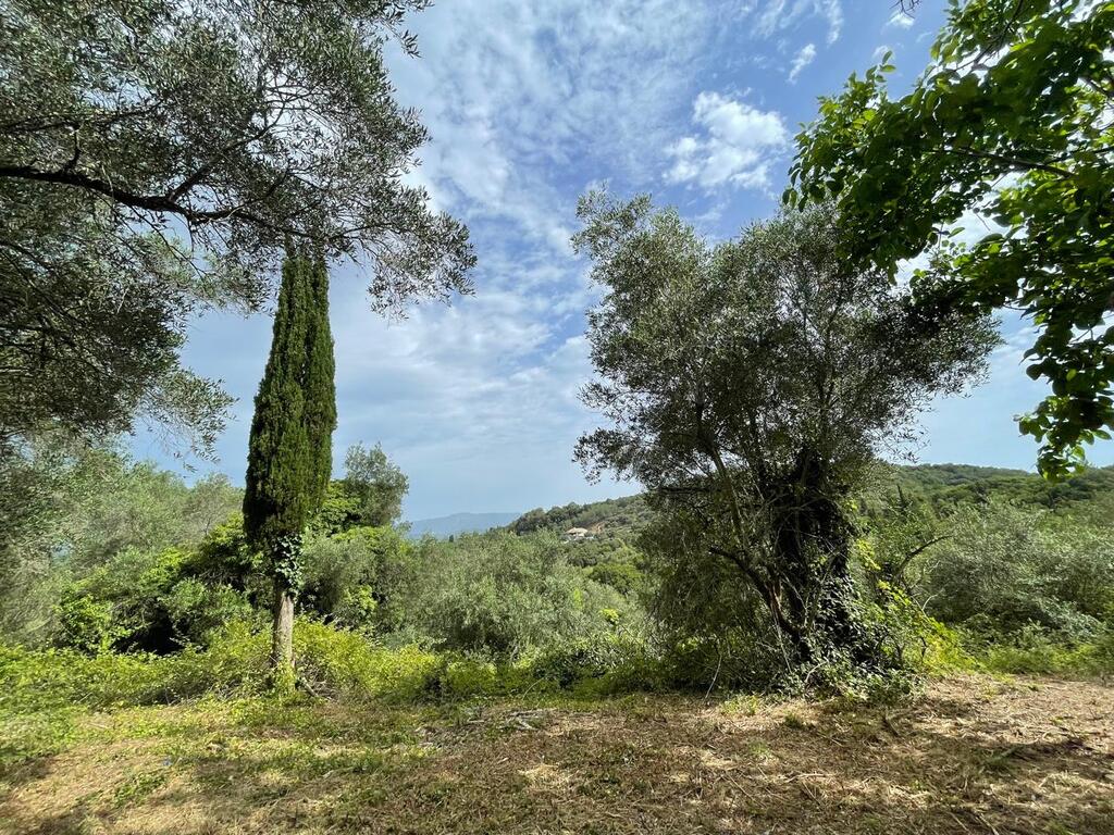 Land in Corfu, Corfu Prefecture, Greece – 59779