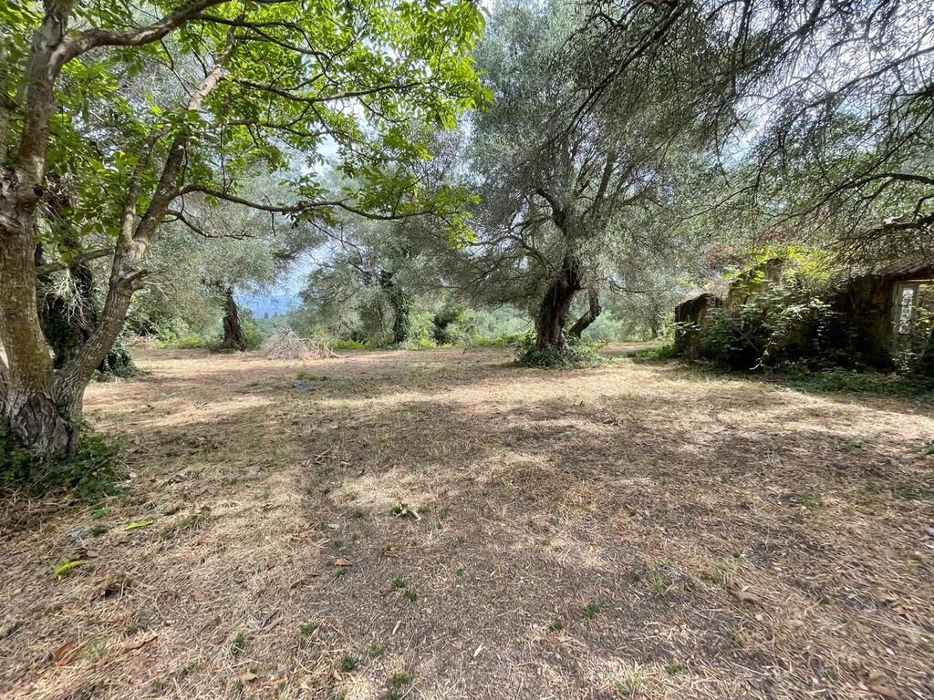 Land in Corfu, Corfu Prefecture, Greece – 59779