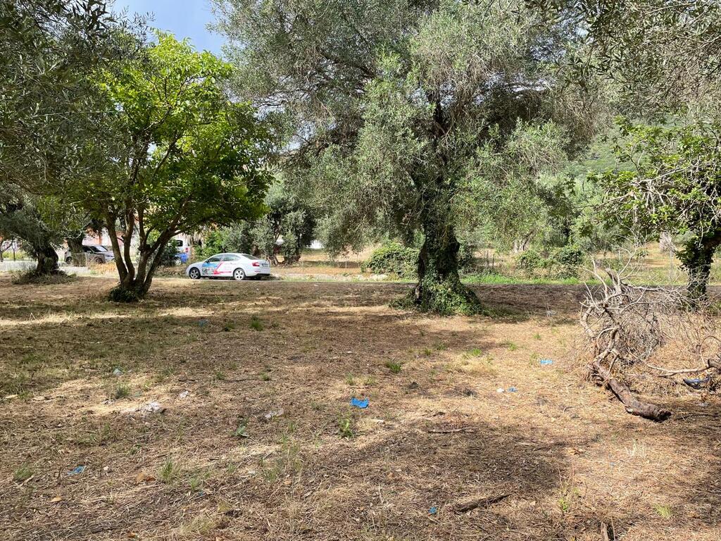 Land in Corfu, Corfu Prefecture, Greece – 59779