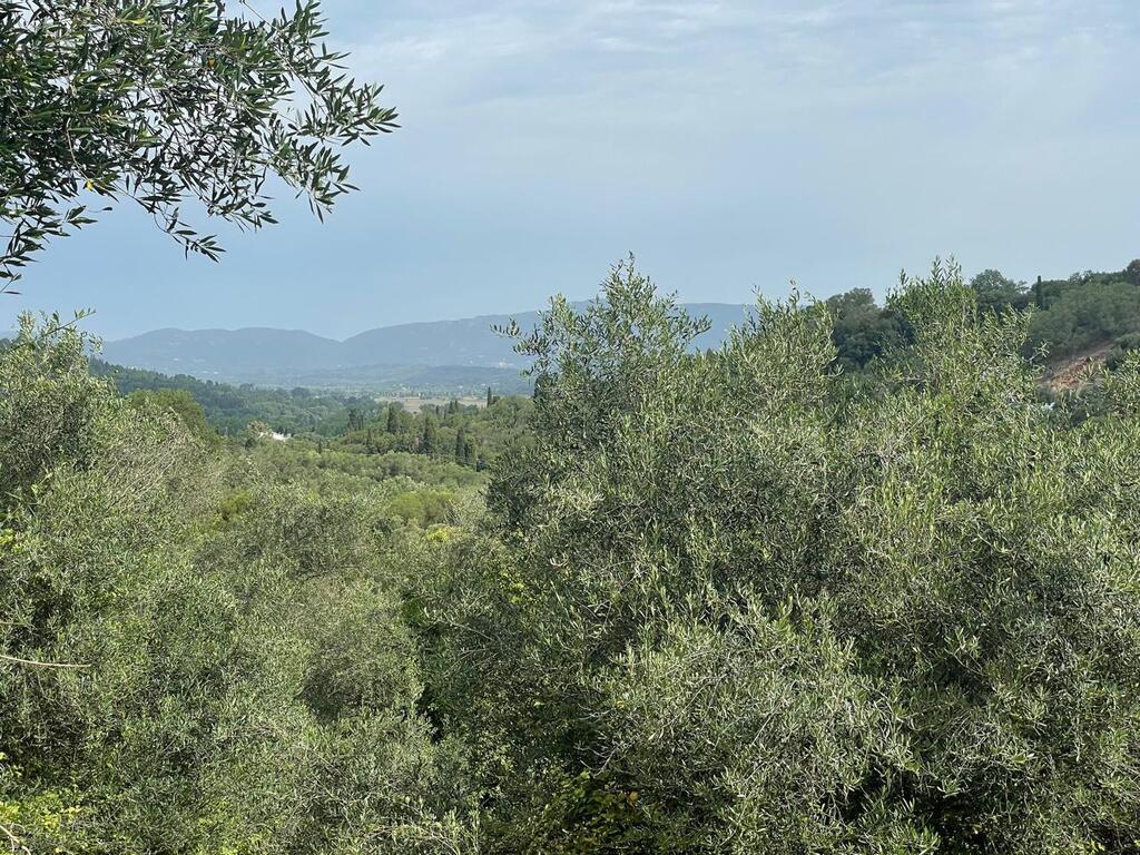 Land in Corfu, Corfu Prefecture, Greece – 59779