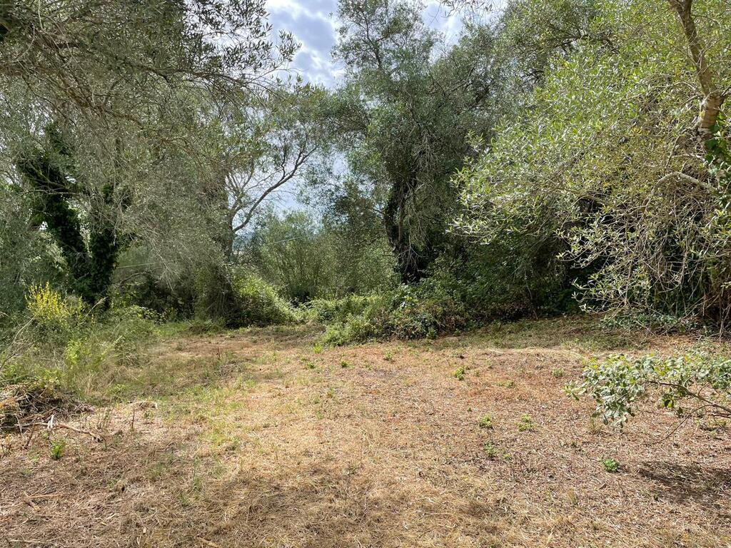 Land in Corfu, Corfu Prefecture, Greece – 59779