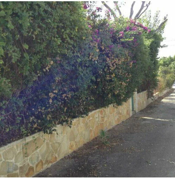 2 bedroom Detached house in Anavissos, Rest Of Attica, Greece – 59775