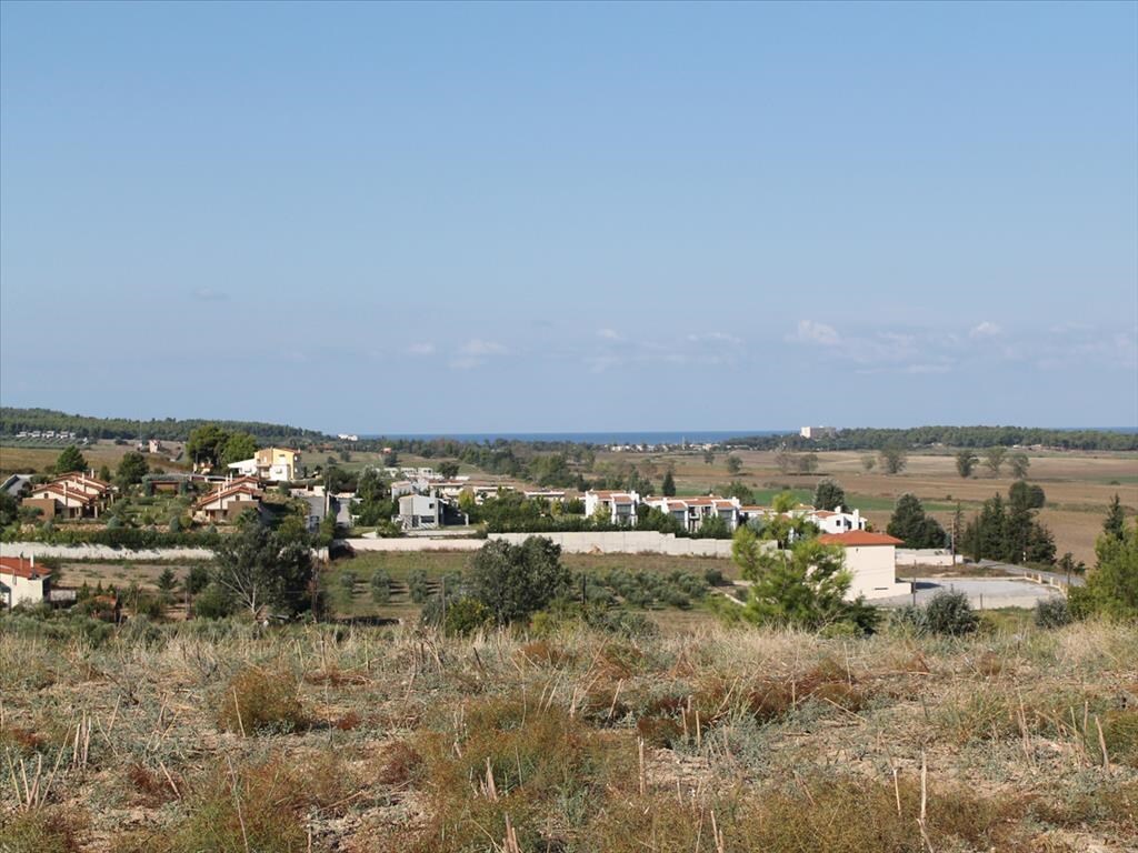 Land in Kassandra, Chalkidiki, Greece – 59728