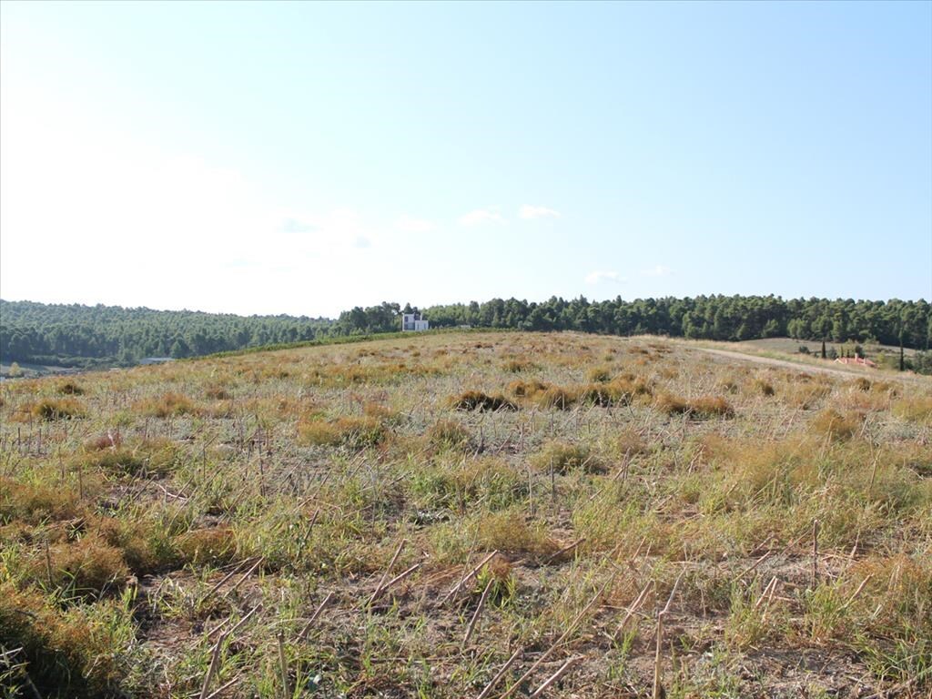 Land in Kassandra, Chalkidiki, Greece – 59728