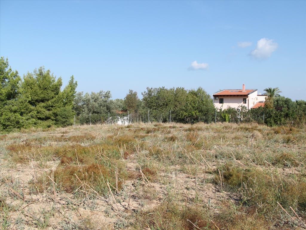 Land in Kassandra, Chalkidiki, Greece – 59728