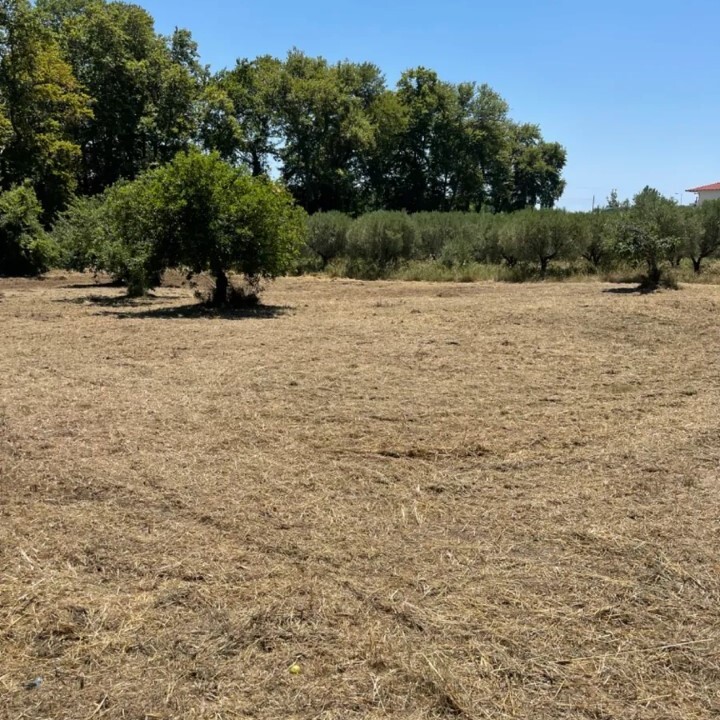 Land in Sithonia, Chalkidiki, Greece – 59706