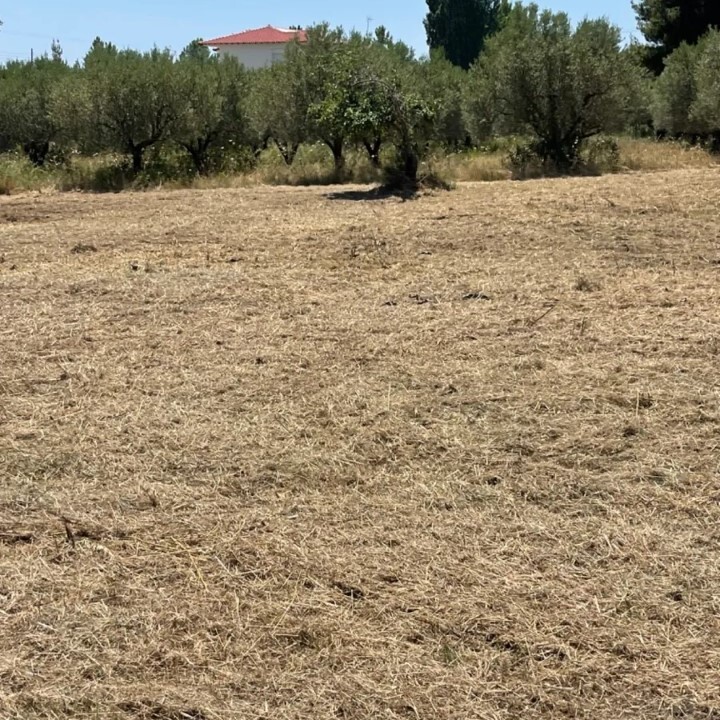 Land in Sithonia, Chalkidiki, Greece – 59706