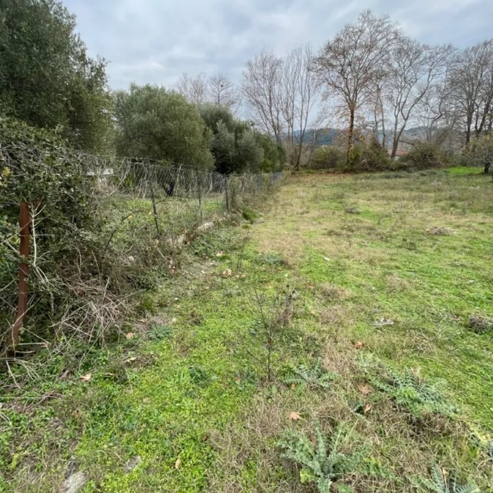 Land in Sithonia, Chalkidiki, Greece – 59706