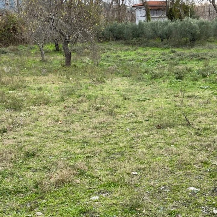Land in Sithonia, Chalkidiki, Greece – 59706