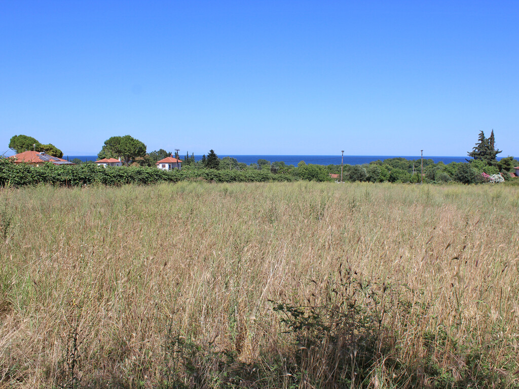 Land in Easts Olimpos, Pieria Prefecture, Greece – 59705