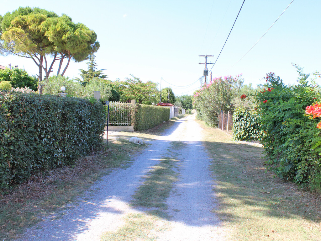Land in Easts Olimpos, Pieria Prefecture, Greece – 59705