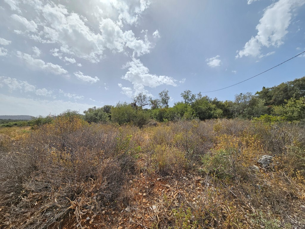 Land in Vrachasi, Lasithi Prefecture, Greece – 59642