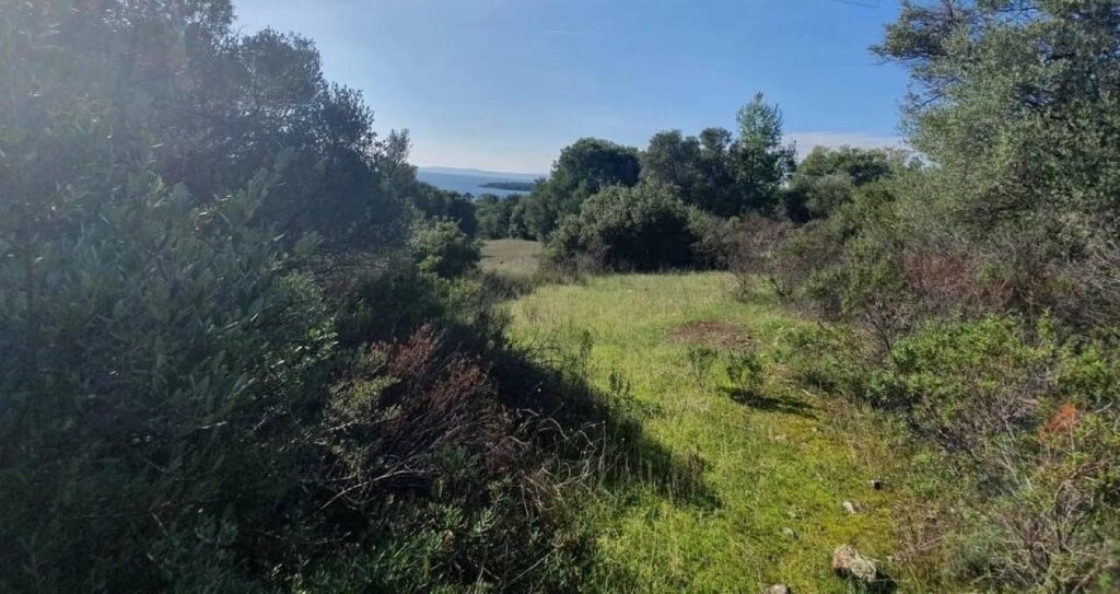 Land in Sithonia, Chalkidiki, Greece – 59632