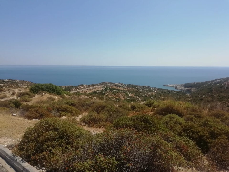 Land in Sithonia, Chalkidiki, Greece – 59630