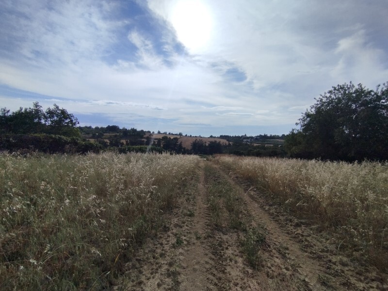 Land in Mikra, Thessaloniki – Suburbs, Greece – 59573