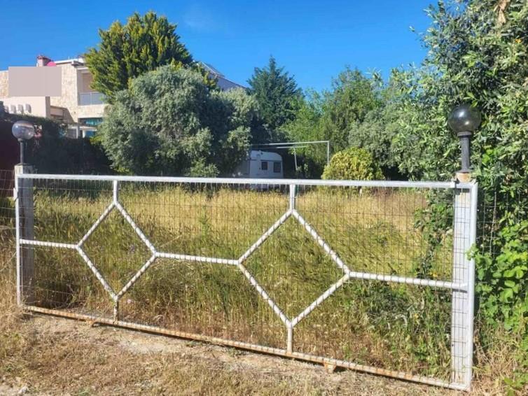Land in Thasos, Kavala Prefecture, Greece – 59543
