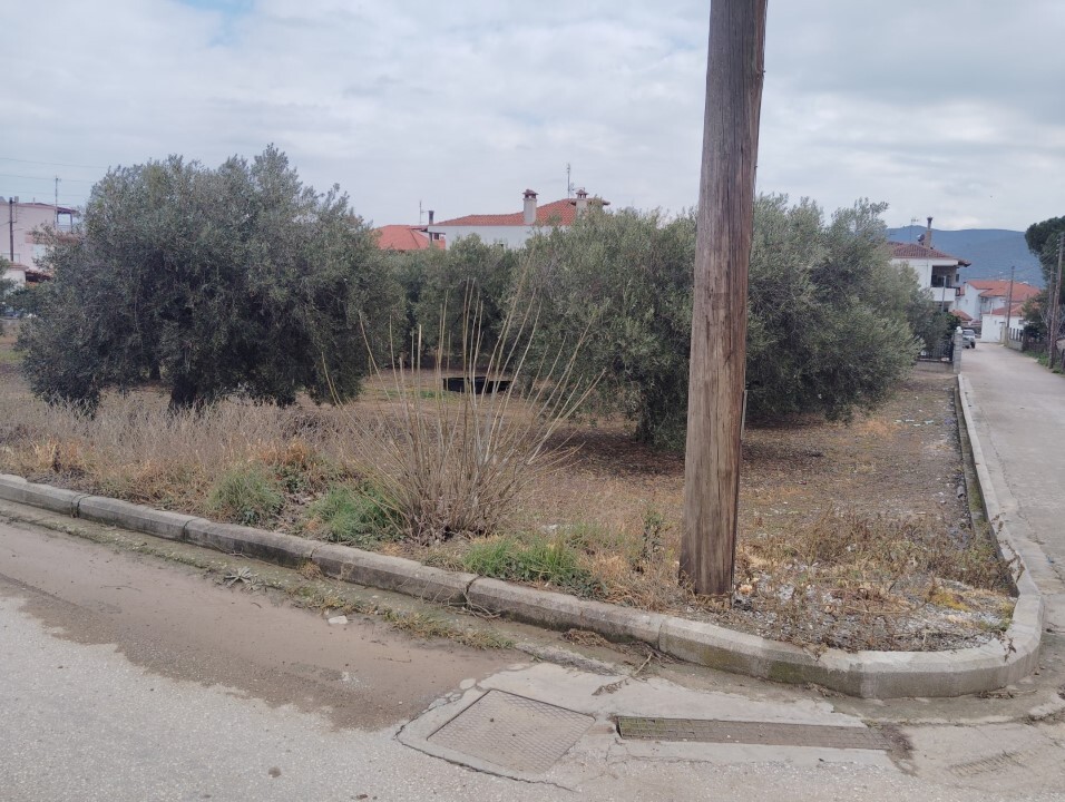 Land in Poligiros, Chalkidiki, Greece – 59464